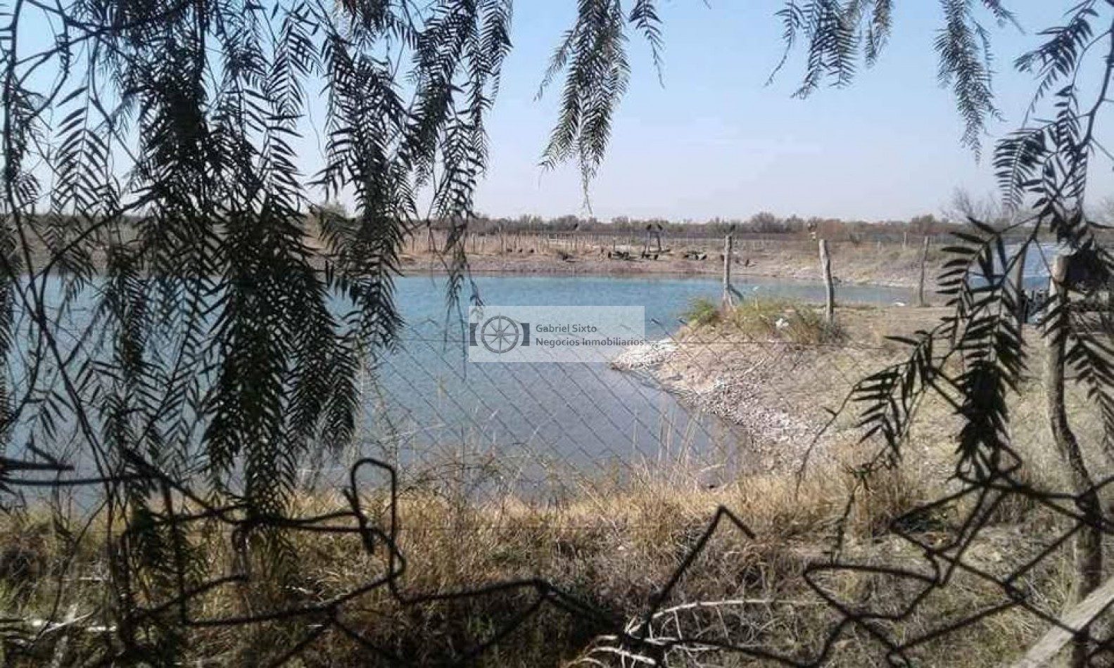 VENTA FINCA CON VIÑEDOS 24 HS. EN LA DORMIDA, Cabernet, Bonarda, Cerezas, implementos etx. 