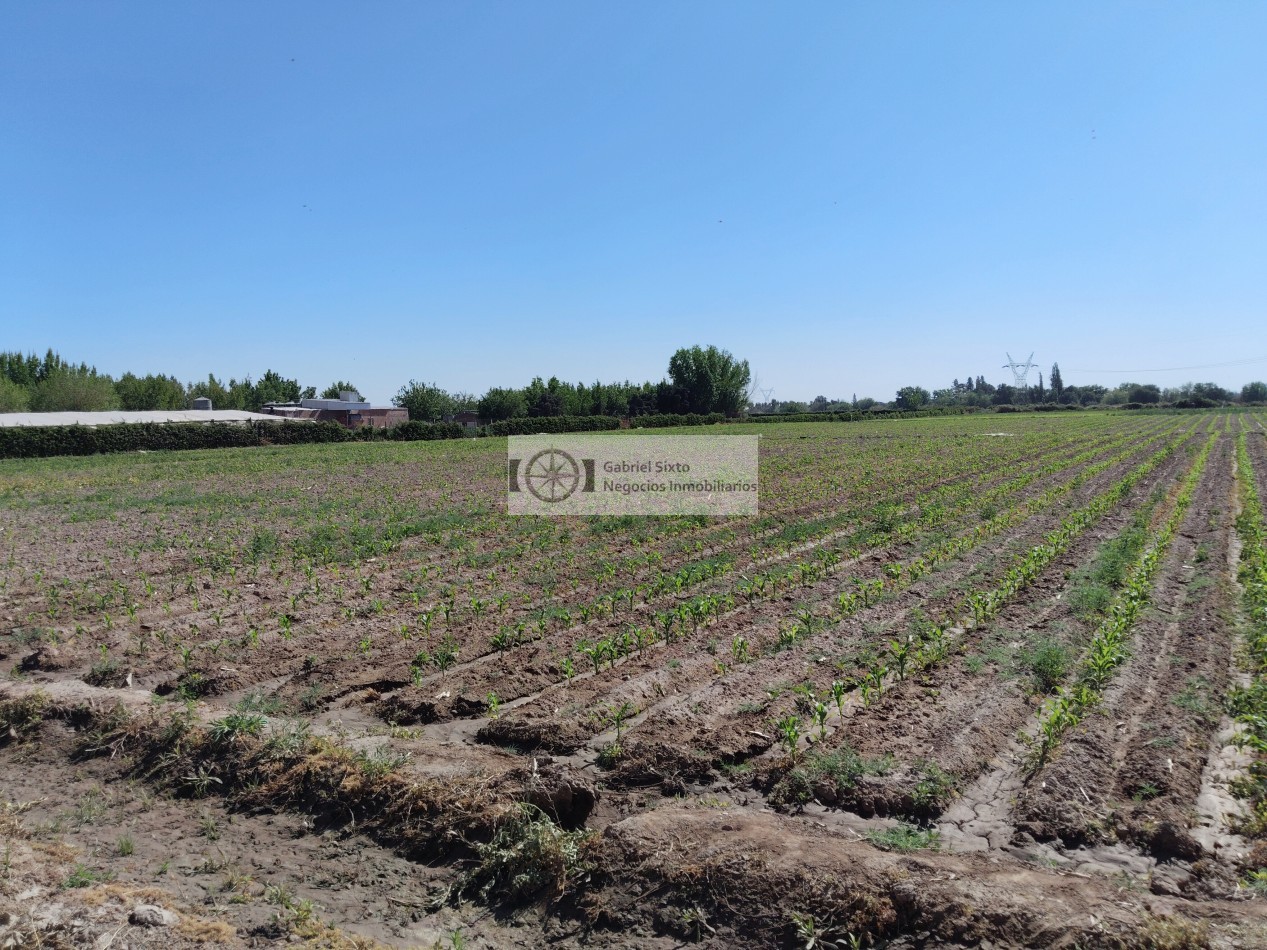 VENTA TERRENO SOBRE CARRIL NACIONAL 3  HA. IDEAL DESARROLLO INMOBILIARIO, GUAYMALLEN 