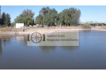 VENTA FINCA CON VIÑEDOS 24 HS. EN LA DORMIDA, Cabernet, Bonarda, Cerezas, implementos etx. 